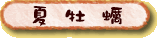 夏牡蠣